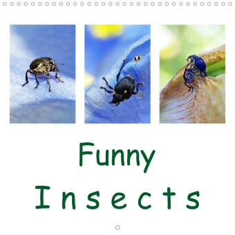 Funny Insects (Wall Calendar 2023 300 × 300 mm Square)