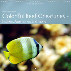 Colorful Reef Inhabitants - Fishes, Anemones and more (Wall Calendar 2023 300 × 300 mm Square)