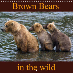 Brown Bears in the wild (Wall Calendar 2023 300 × 300 mm Square)