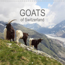 Goats of Switzerland (Wall Calendar 2023 300 × 300 mm Square)