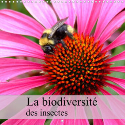 La biodiversité des insectes (Calendrier mural 2023 300 × 300 mm Square)
