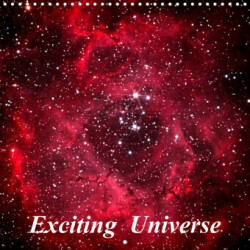 Exciting Universe (Wall Calendar 2023 300 × 300 mm Square)