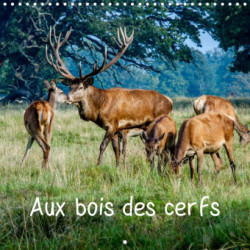 Aux bois des cerfs (Calendrier mural 2023 300 × 300 mm Square)