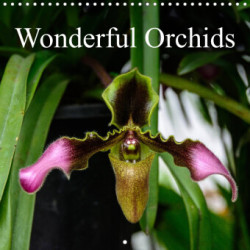 Wonderful Orchids (Wall Calendar 2023 300 × 300 mm Square)