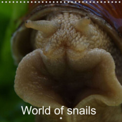 World of snails (Wall Calendar 2023 300 × 300 mm Square)