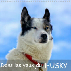 Dans les yeux du husky (Calendrier mural 2023 300 × 300 mm Square)