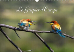 Le Guêpier d'Europe - Merops Apiaster (Calendrier mural 2023 DIN A3 horizontal)