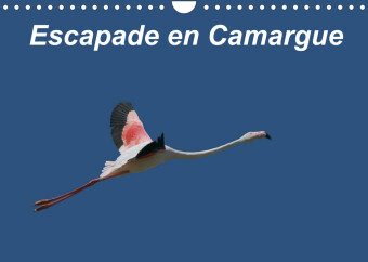 Escapade en Camargue (Calendrier mural 2023 DIN A4 horizontal)