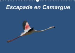 Escapade en Camargue (Calendrier mural 2023 DIN A3 horizontal)