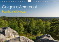 Gorges d'Apremont - Fontainebleau (Calendrier mural 2023 DIN A4 horizontal)