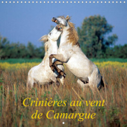 Crinières au vent de Camargue (Calendrier mural 2023 300 × 300 mm Square)