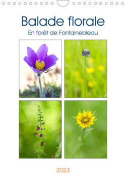 Balade florale en forêt de Fontainebleau (Calendrier mural 2023 DIN A4 vertical)