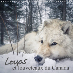 Loups et louveteaux du Canada (Calendrier mural 2023 300 × 300 mm Square)
