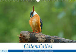 Calend'ailes (Calendrier mural 2023 DIN A3 horizontal)