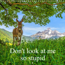 Don't look at me so stupid (Wall Calendar 2023 300 × 300 mm Square)