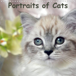 Portraits of Cats (Wall Calendar 2023 300 × 300 mm Square)