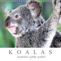 Koalas - Australia's cuddly symbol (Wall Calendar 2023 300 × 300 mm Square)