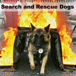 Search and Rescue Dogs (Wall Calendar 2023 300 × 300 mm Square)