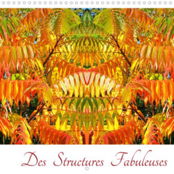 Des Structures fabuleuses (Calendrier mural 2023 300 × 300 mm Square)