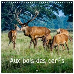 Aux bois des cerfs (Calendrier mural carré 2025 30x30 cm) Calendrier double avec une page pour vos prises de notes