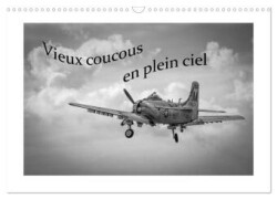 Vieux coucous en plein ciel (Calendrier mural 2025 DIN A3 vertical), CALVENDO calendrier mensuel