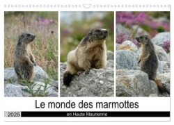 Le monde des marmottes en Haute Maurienne (Calendrier mural 2025 DIN A3 vertical), CALVENDO calendrier mensuel