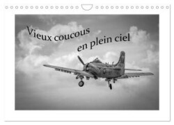 Vieux coucous en plein ciel (Calendrier mural 2025 DIN A4 vertical), CALVENDO calendrier mensuel