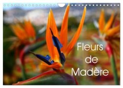 Fleurs de Madère (Calendrier mural 2025 DIN A4 vertical), CALVENDO calendrier mensuel