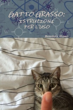 Gatto Grasso: Istruzioni Per L'Uso