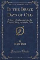 IN THE BRAVE DAYS OF OLD: A STORY OF ADV
