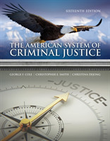 American System of Criminal Justice