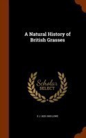 Natural History of British Grasses