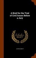 Brief for the Trial of Civil Issues Before a Jury