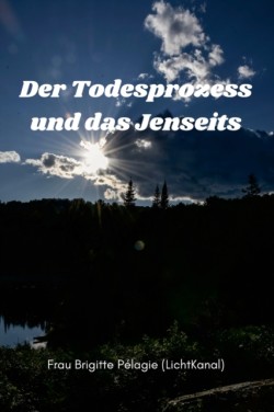 Todesprozess und das Jenseits (Paperback)