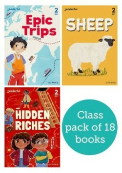 Readerful Rise: Oxford Reading Level 3: Class Pack