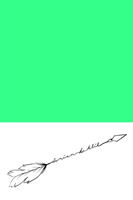 Boy & Arrow