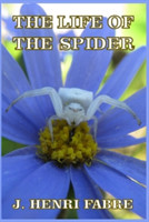 Life of the Spider