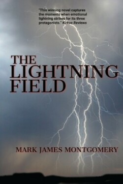 Lightning Field