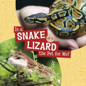 Is a Snake or a Lizard the Pet for Me?