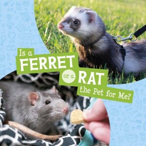 Is a Ferret or a Rat the Pet for Me?