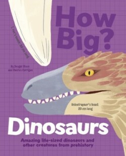 How Big? Dinosaurs