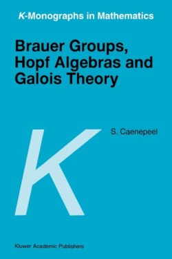 Brauer Groups, Hopf Algebras and Galois Theory