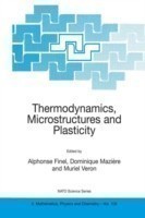 Thermodynamics, Microstructures and Plasticity