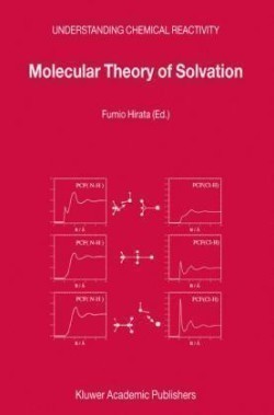 Molecular Theory of Solvation