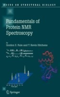 Fundamentals of Protein NMR Spectroscopy