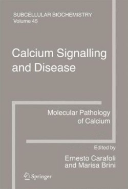 Calcium Signalling and Disease