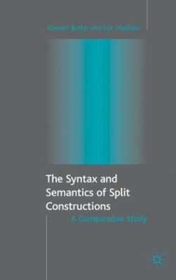 Syntax and Semantics of Split Constructions