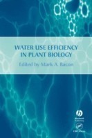 Water Use Efficiency in Plant Biology