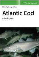 Atlantic Cod