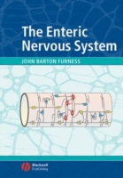 Enteric Nervous System